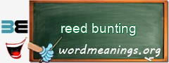 WordMeaning blackboard for reed bunting